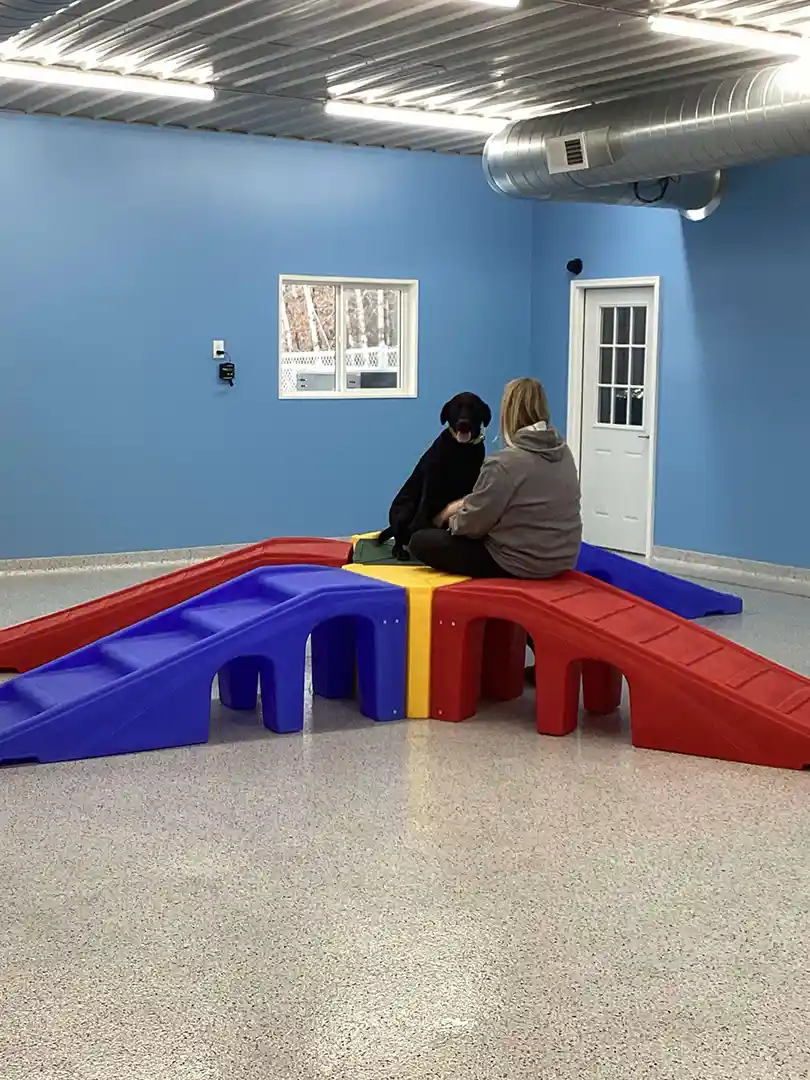 dog boarding Milaca, dog boarding near Milaca, best dog boarding Milaca, overnight dog boarding Milaca, dog kennel near Milaca, boarding for dogs while on vacation Milaca, affordable dog boarding Milaca, dog boarding and daycare Milaca, 24-hour dog boarding Milaca