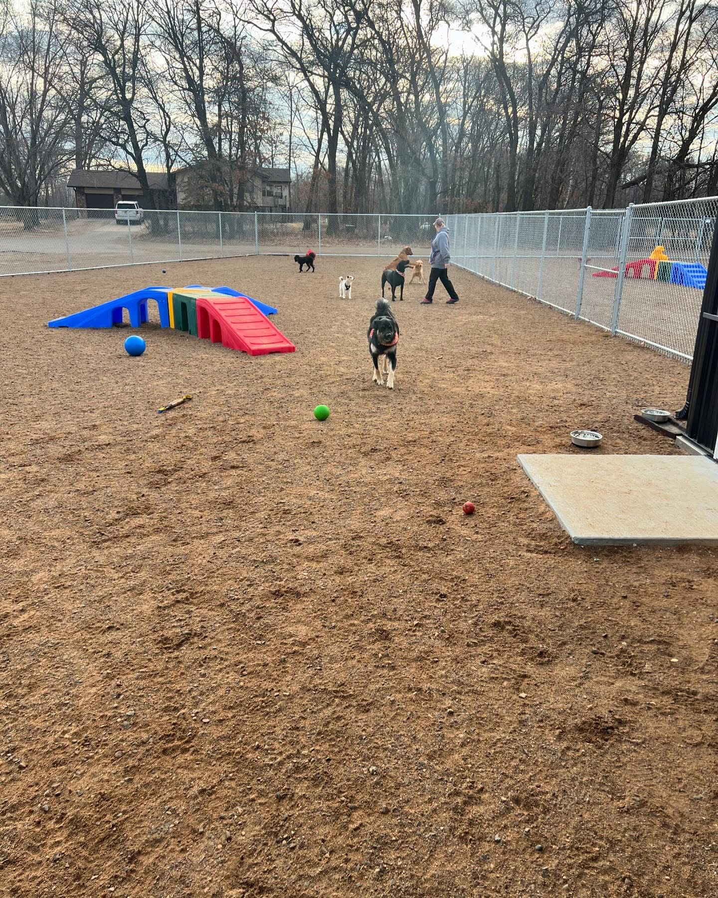 Country Pup Kennel Outdoor Play Area