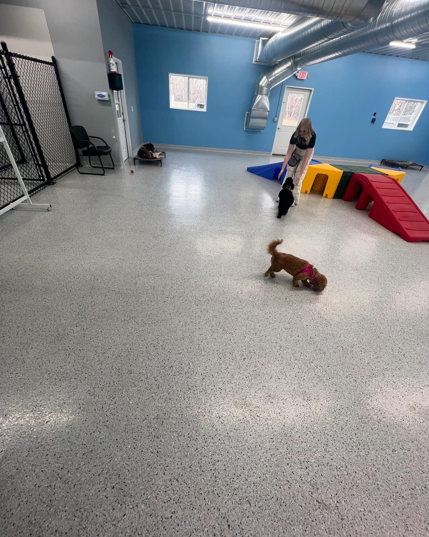 Country Pup Kennel staff reading to a dog.