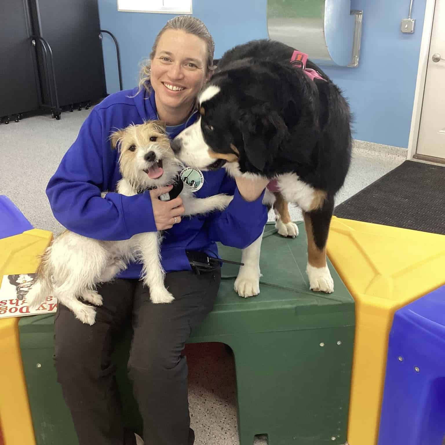 country pup kennel princeton about us