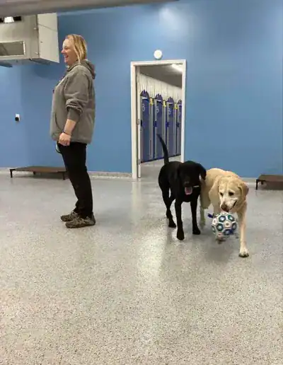 dog boarding princeton mn 1