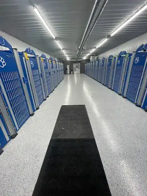 country pup kennel dog boarding dog training