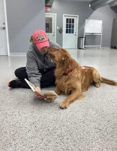 dog boarding cambridge