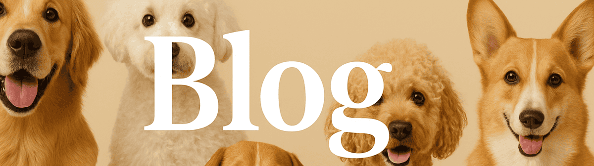 banner dog boarding dog grooming dog training