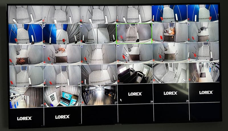 dog boarding 24hr monitoring display