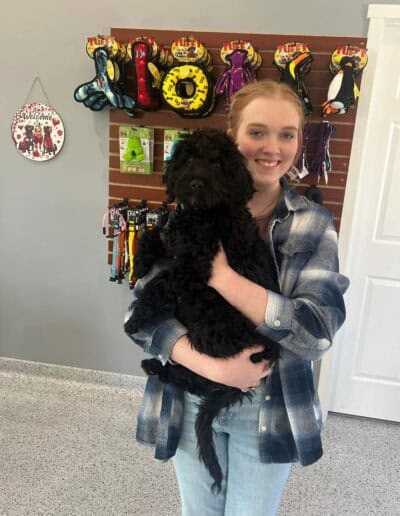 dog boarding and train near me