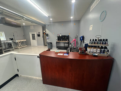 dog grooming cleanliness 1