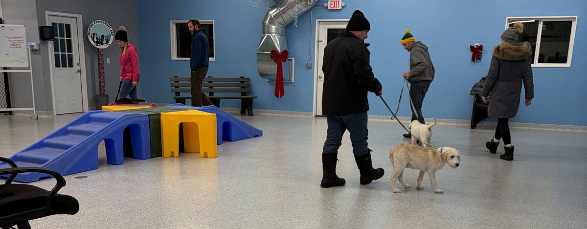 obedience training 1