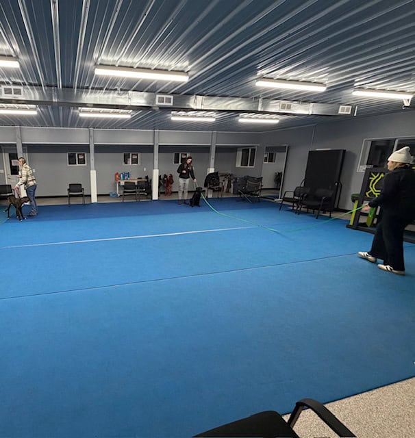 zimmerman dog training, dog trainer zimmerman, puppy training zimmerman, obedience training zimmerman