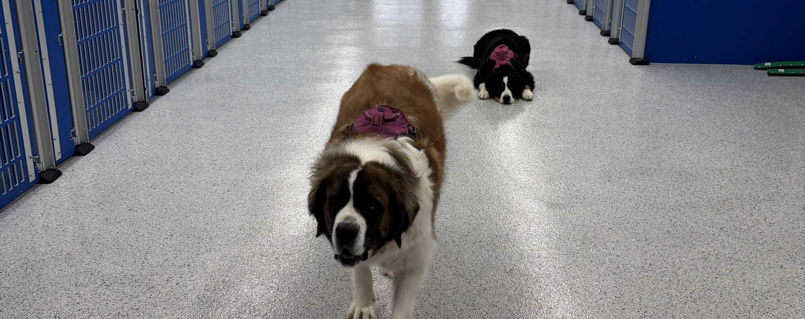 first boarding stay featured