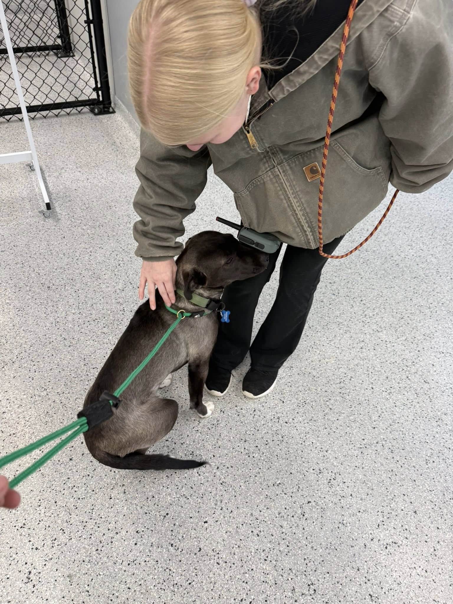 dog daycare princeton 6