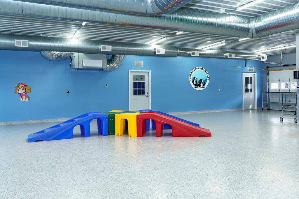 Indoor Facility at Country Pup Kennel