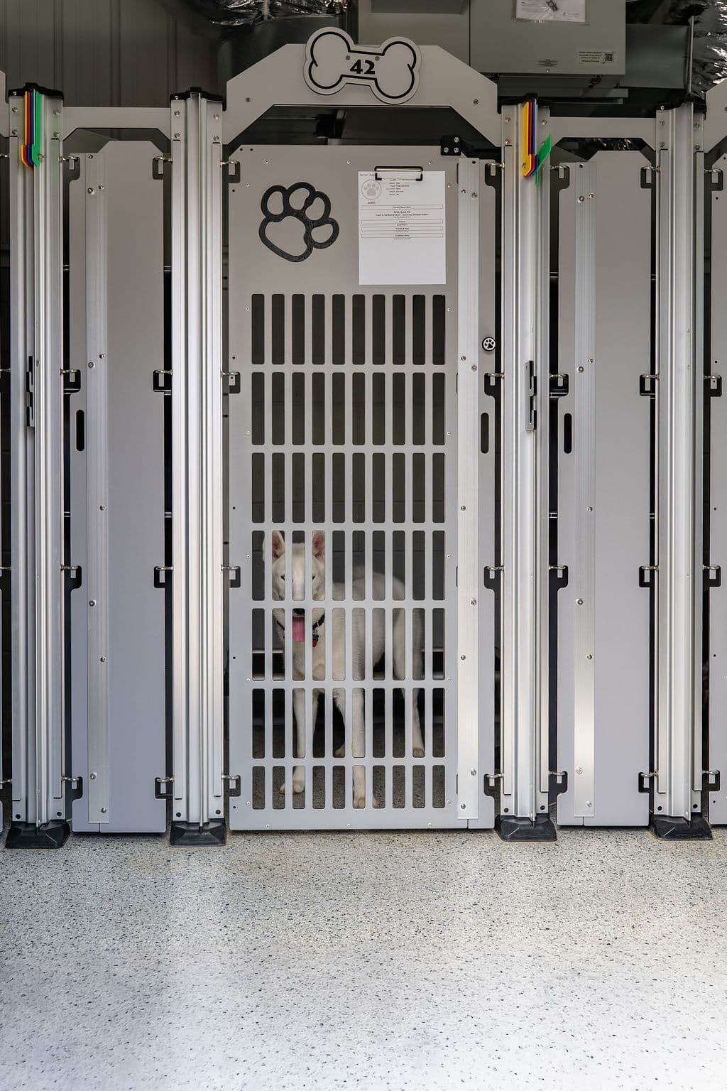 dog boarding near buffalo mn kennel