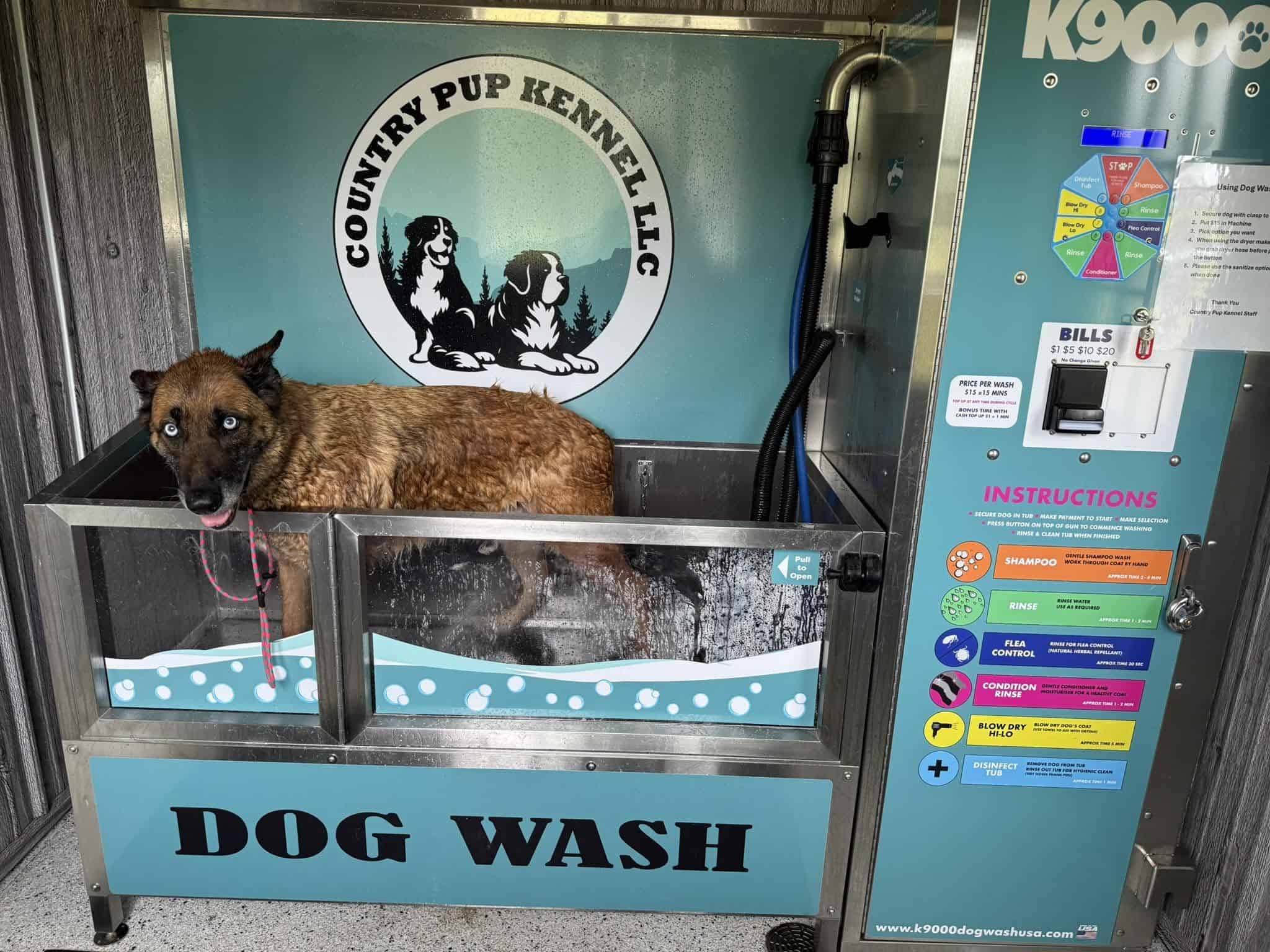 self care dog wash princeton